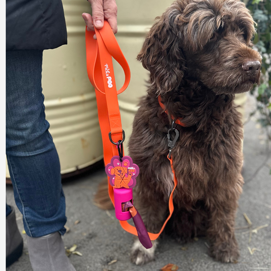 Picka Bajspåsehållare