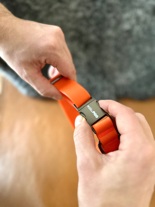 Picka Halsband - Komfort möter design