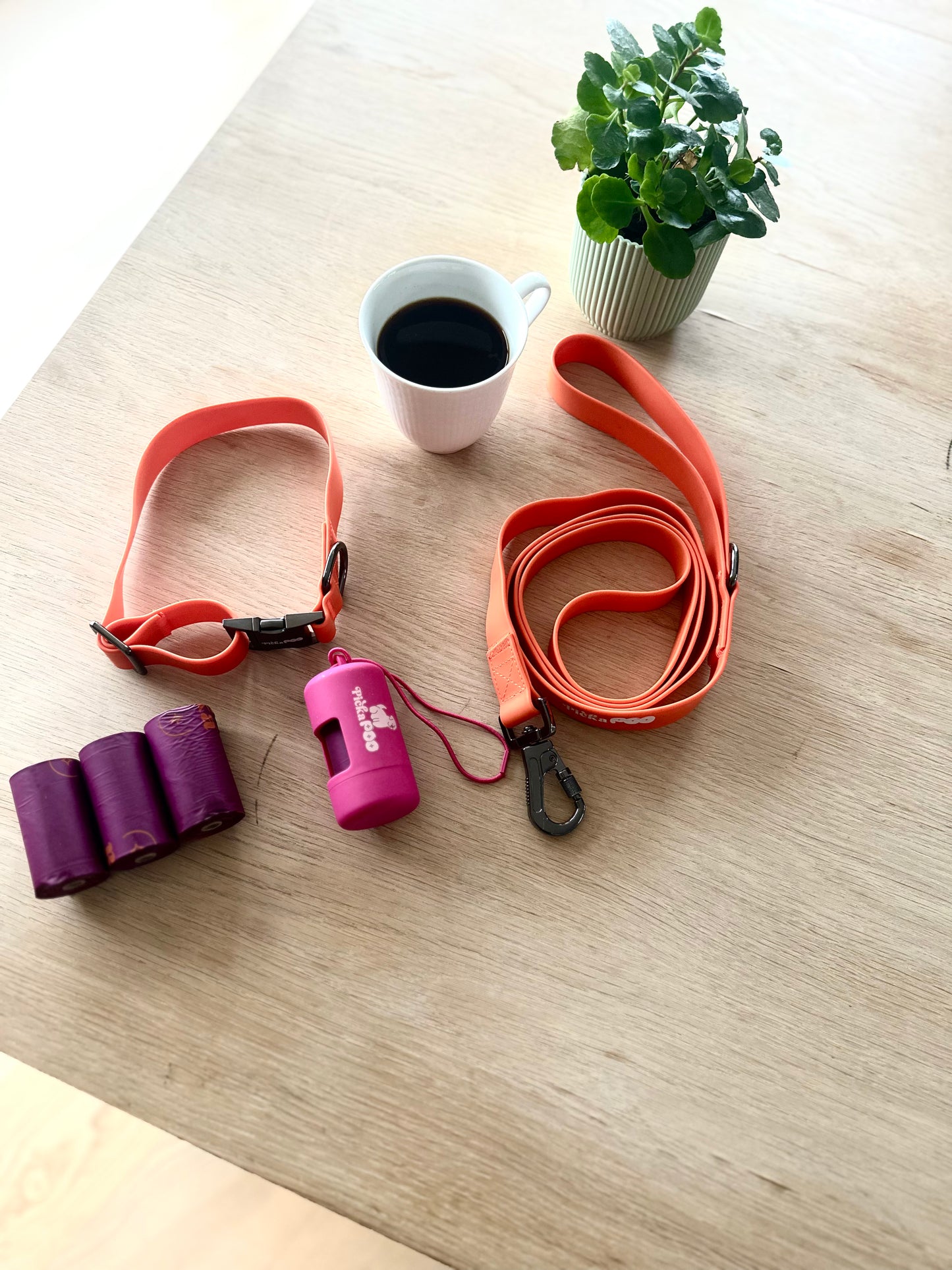 Allt du behöver för promenaden - i ett kit